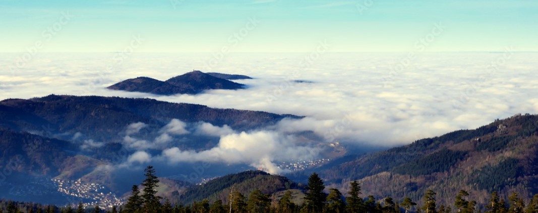 Nationalpark Schwarzwald
